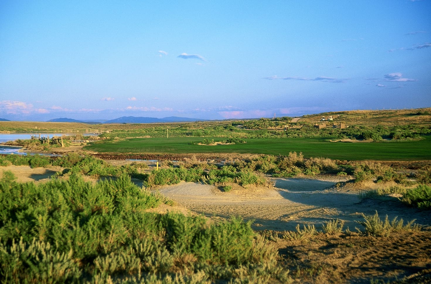 A grassy field with water and bushes in the foreground.