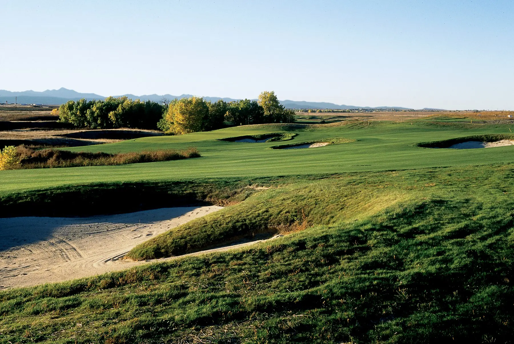 A view of a golf course with trees in the background.