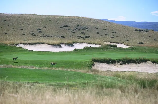 A grassy area with two holes and several small bunkers.