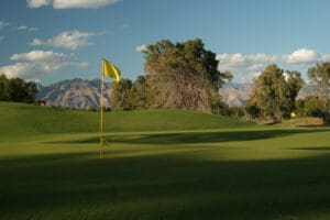 A golf course with trees and mountains in the background.