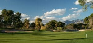 A view of a golf course with trees and clouds in the background.