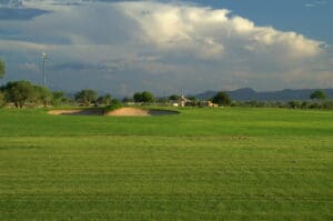 A grassy field with trees and houses in the background.